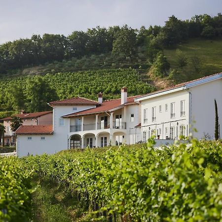 Peterc Vineyard Estate Bed and Breakfast Kojsko Eksteriør billede