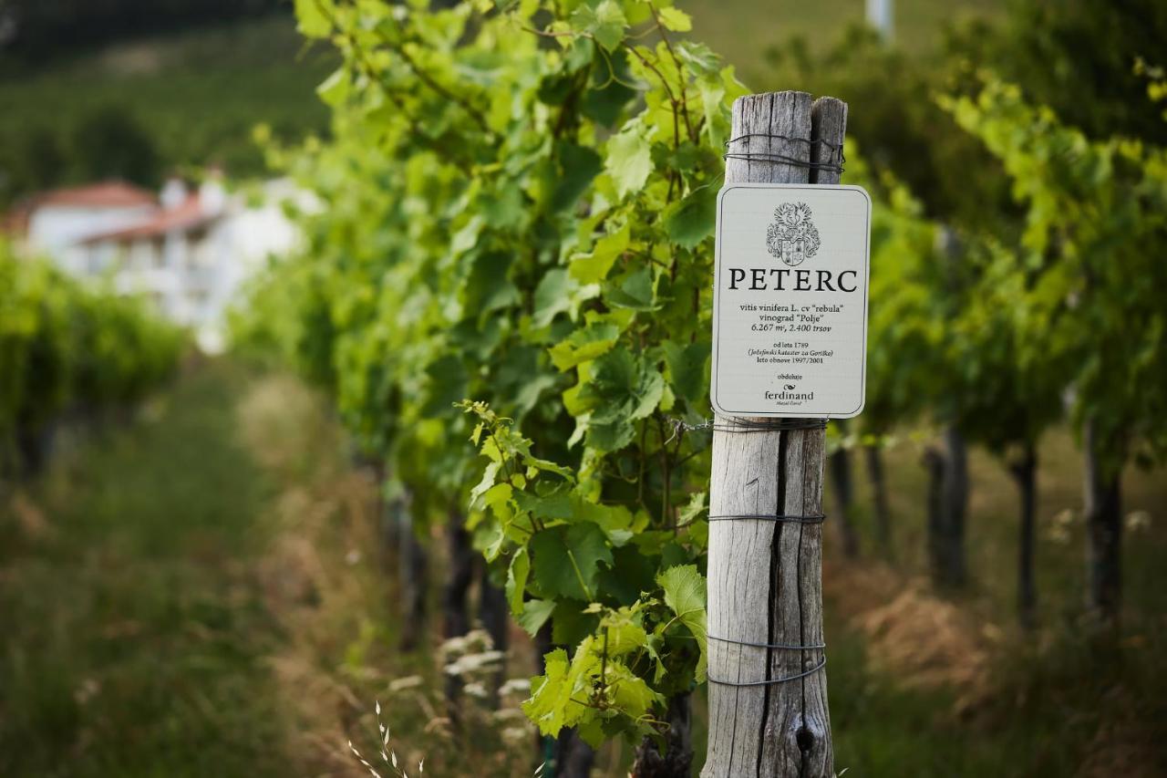 Peterc Vineyard Estate Bed and Breakfast Kojsko Eksteriør billede