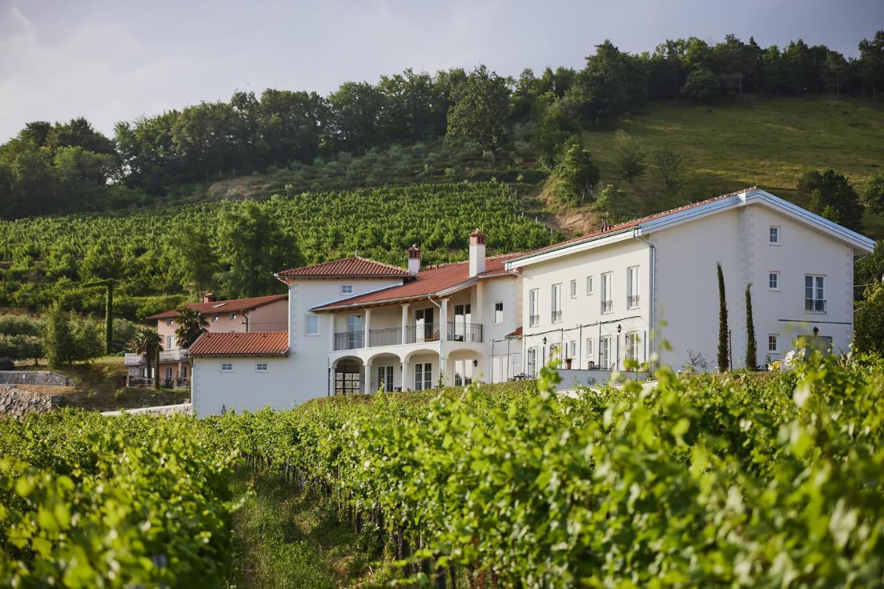 Peterc Vineyard Estate Bed and Breakfast Kojsko Eksteriør billede